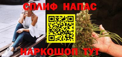 apvp Гатчина