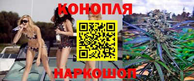 apvp Гатчина