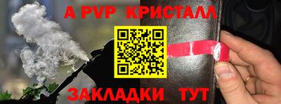 apvp Гатчина