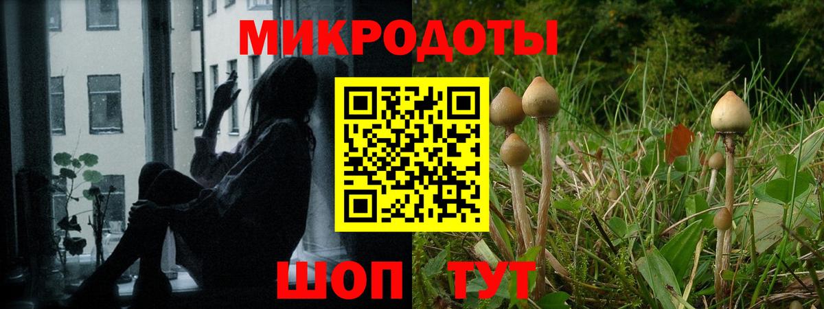 Галлюциногенные грибы мицелий  Вход с VPN  Миасс  купить наркоту  Псилоцибиновые грибы прущие грибы 